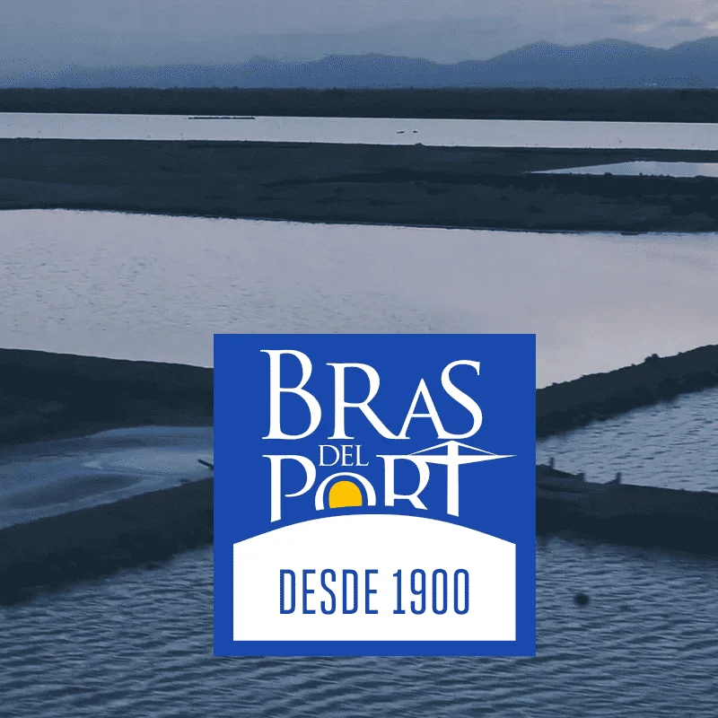 Descubre nuestras marcas