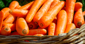 Paco Sanchez, alimentos otoño