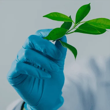 Paco Sánchez, productos de droguería y menaje