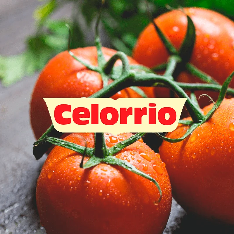 Descubre nuestras marcas